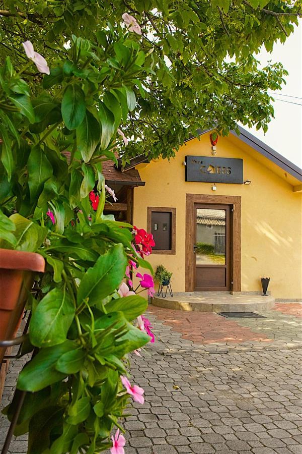 Vila Chess Belgrad Exterior foto